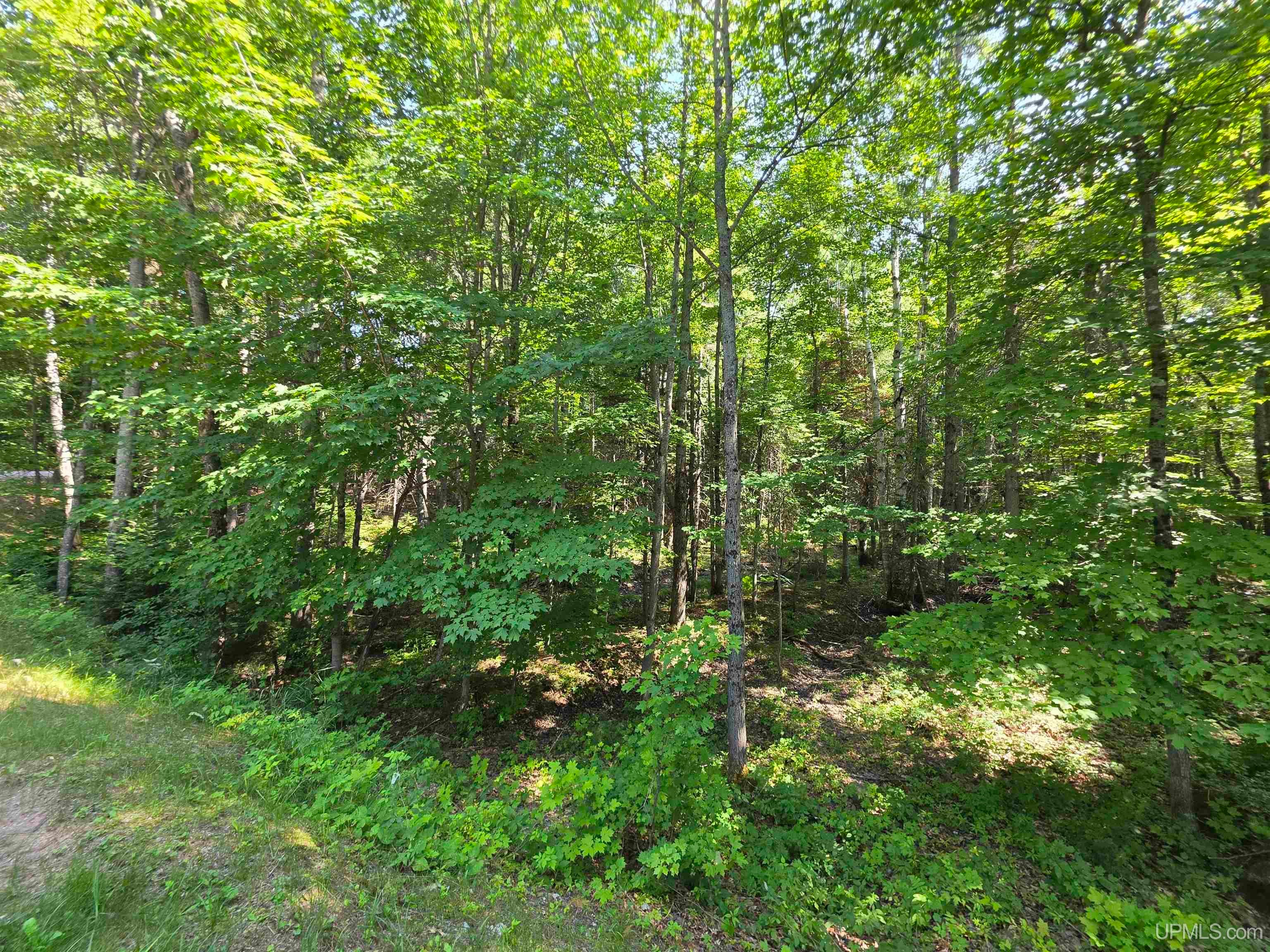 510 Rd Negaunee Mi 49866 Road Negaunee, MI 49866 - Photo 22 of 25 Gallery Image 22