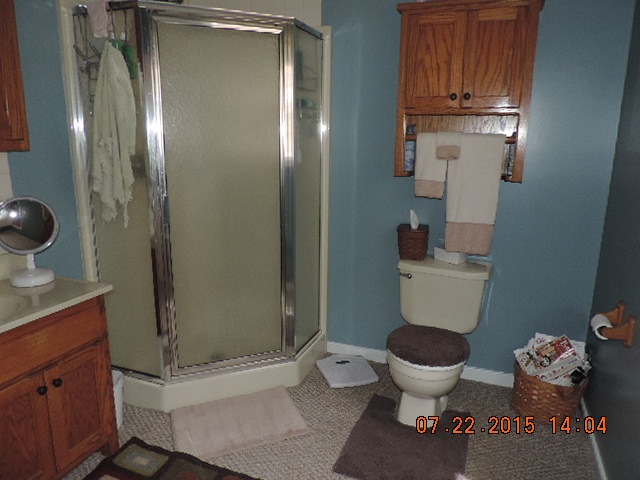 212 Maxeys Road Dillwyn, VA 23936 - Photo 9 of 20 a bathroom with a toilet and a shower
