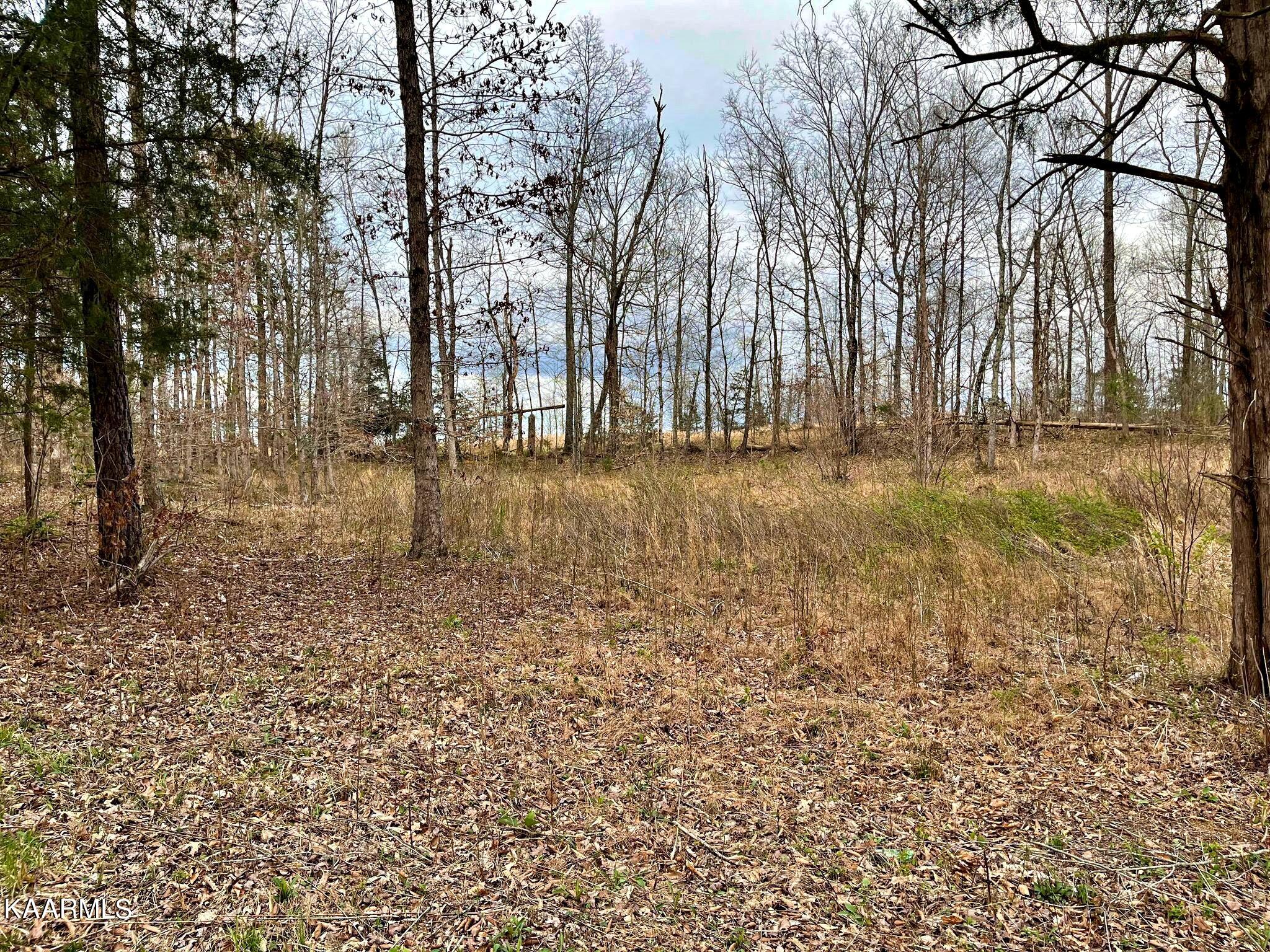 3 County Road 186 Decatur, TN 37322 - Photo 1 of 9 1