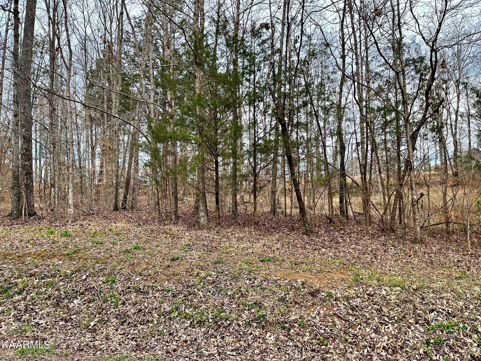 3 County Road 186 Decatur, TN 37322 - Photo 3 of 9 335629863_3456365961267468_6331068218362