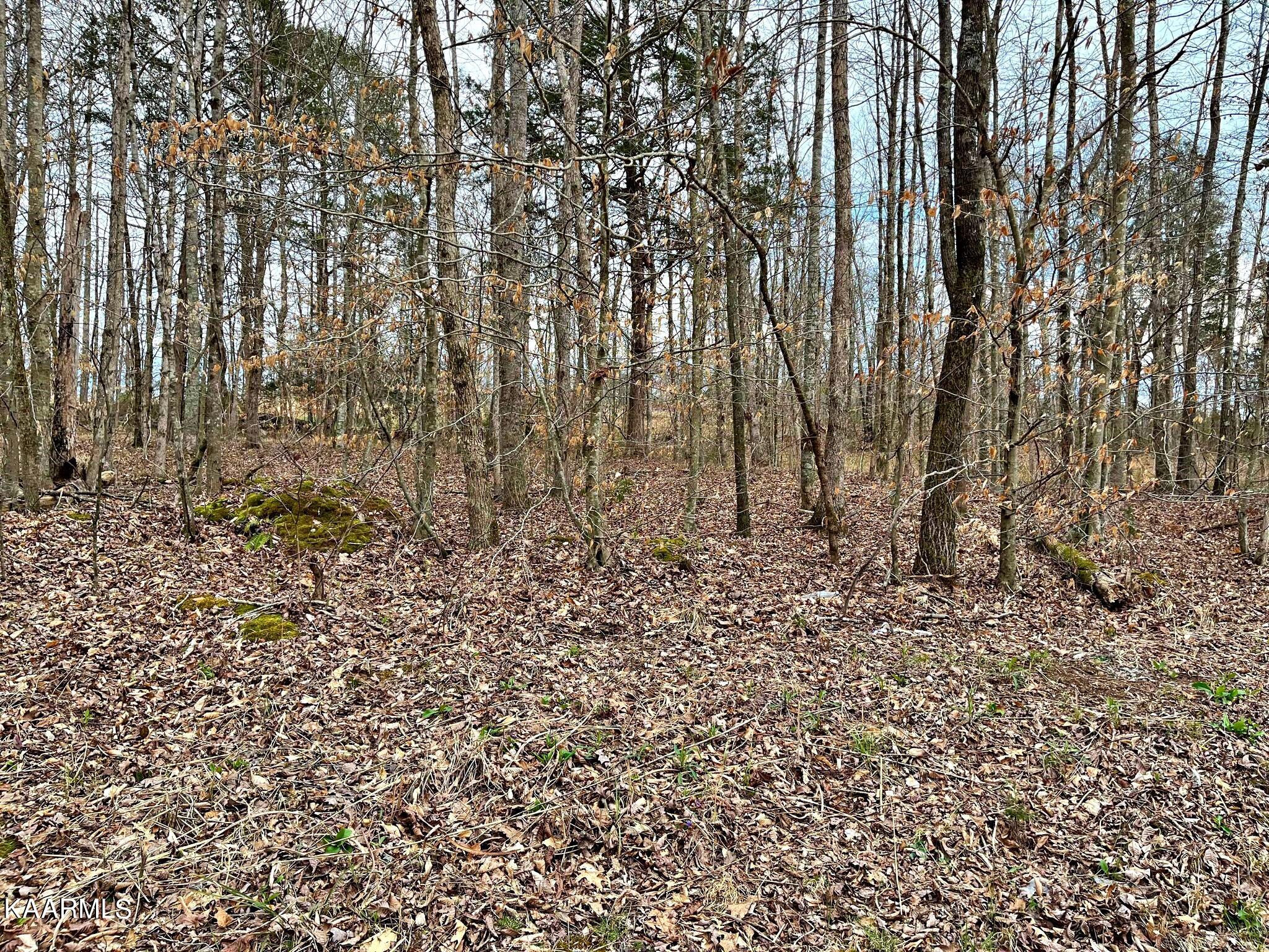 3 County Road 186 Decatur, TN 37322 - Photo 5 of 9 335920319_750374296722109_57990333516750