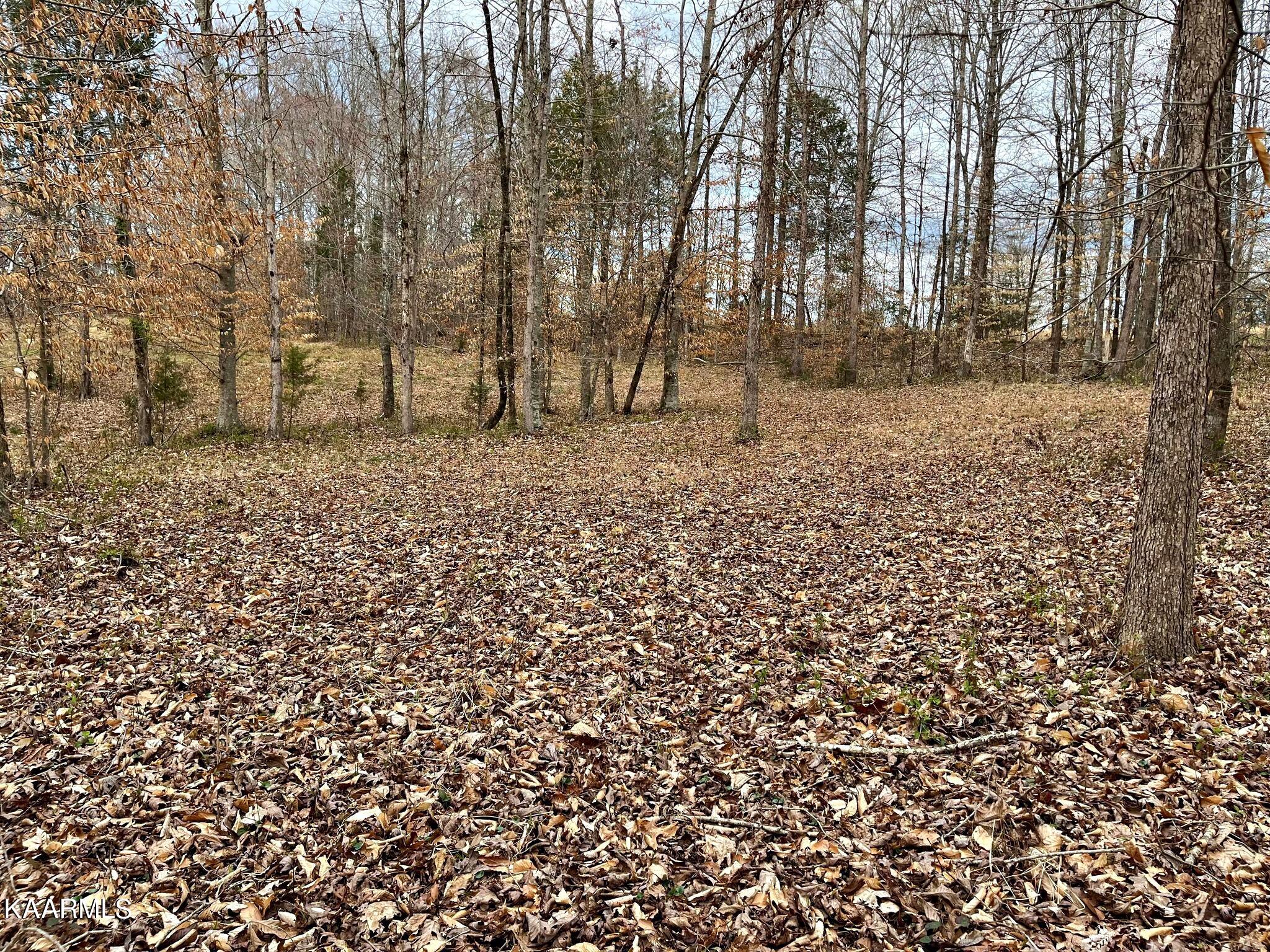 3 County Road 186 Decatur, TN 37322 - Photo 7 of 9 335968339_742215384107782_38370336683412