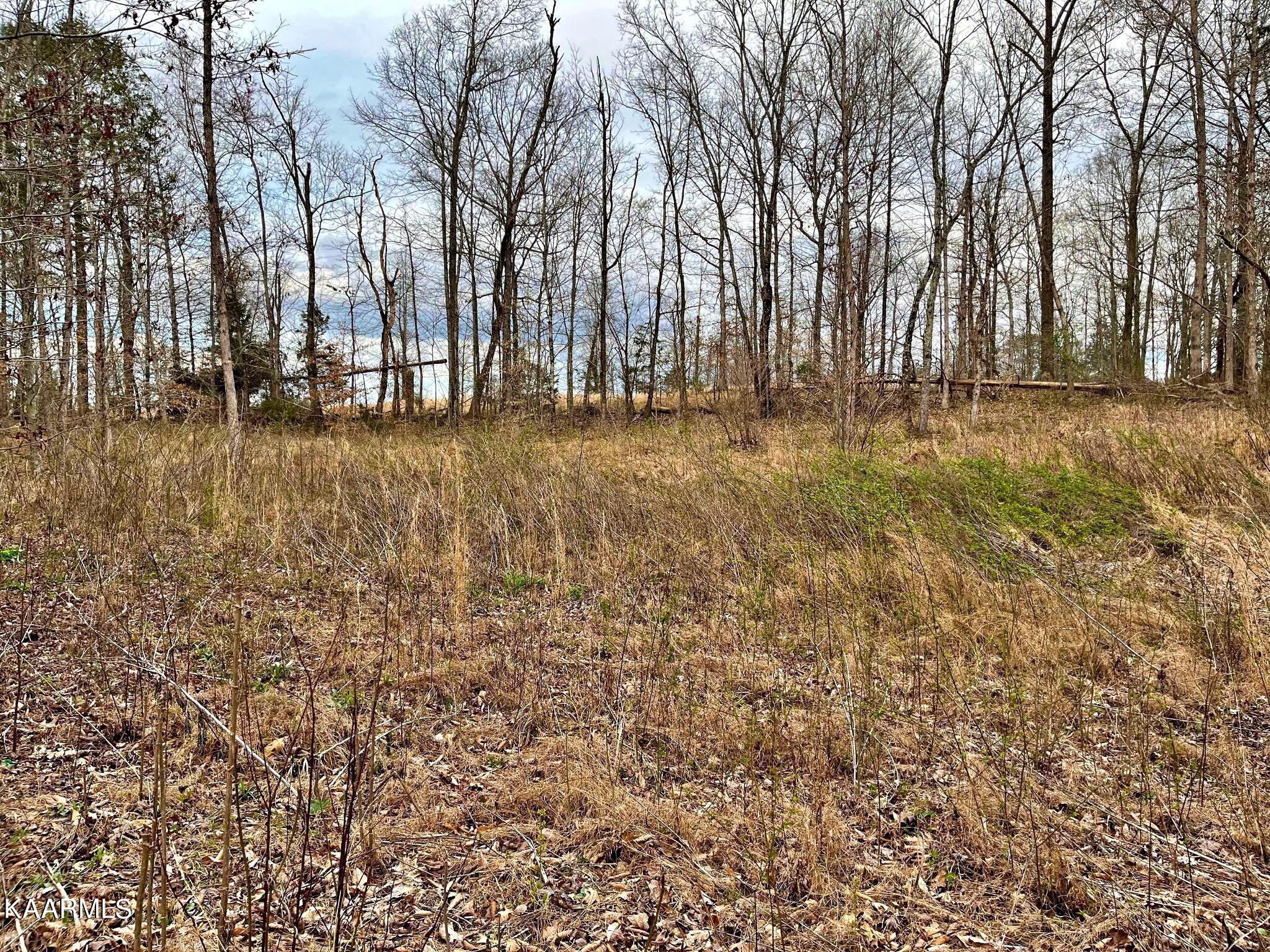 3 County Road 186 Decatur, TN 37322 - Photo 8 of 9 335991050_779862707070245_14136216996369