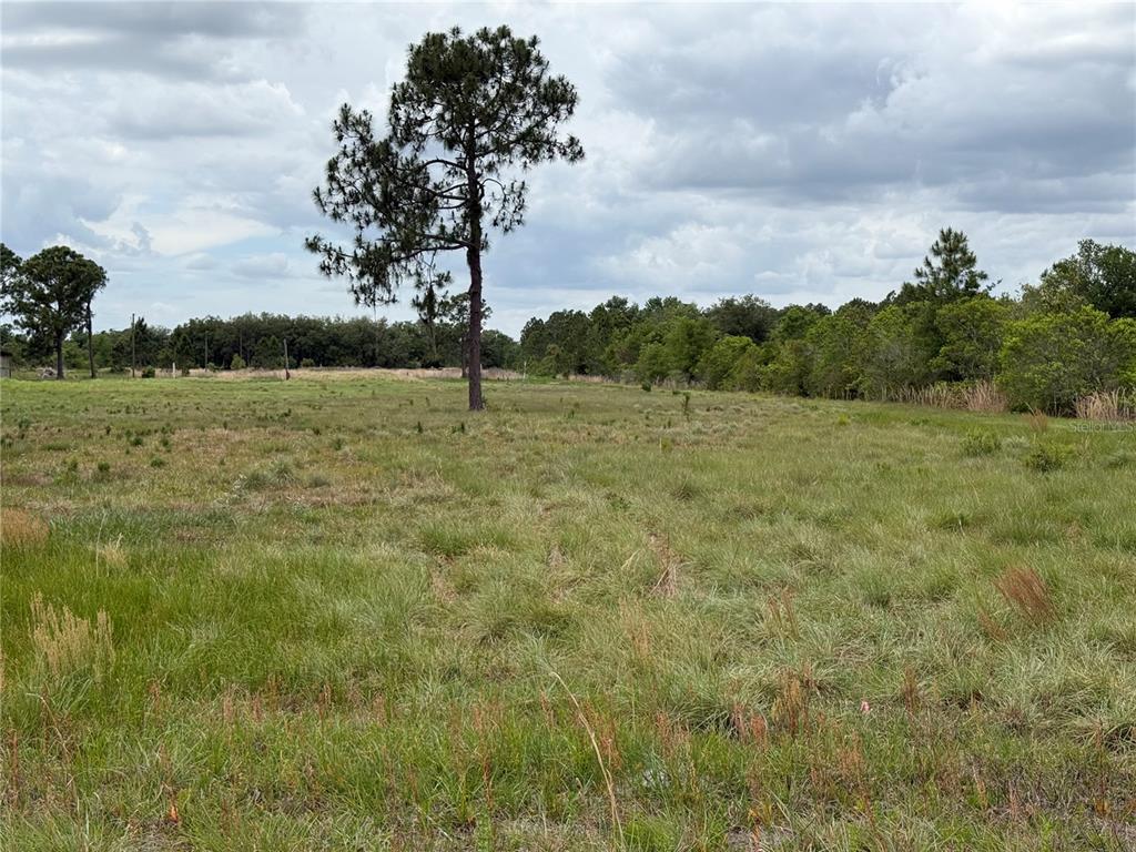 1700 West Frostproof Road Frostproof, FL 33843 - Photo 1 of 11 a view of a field with an trees