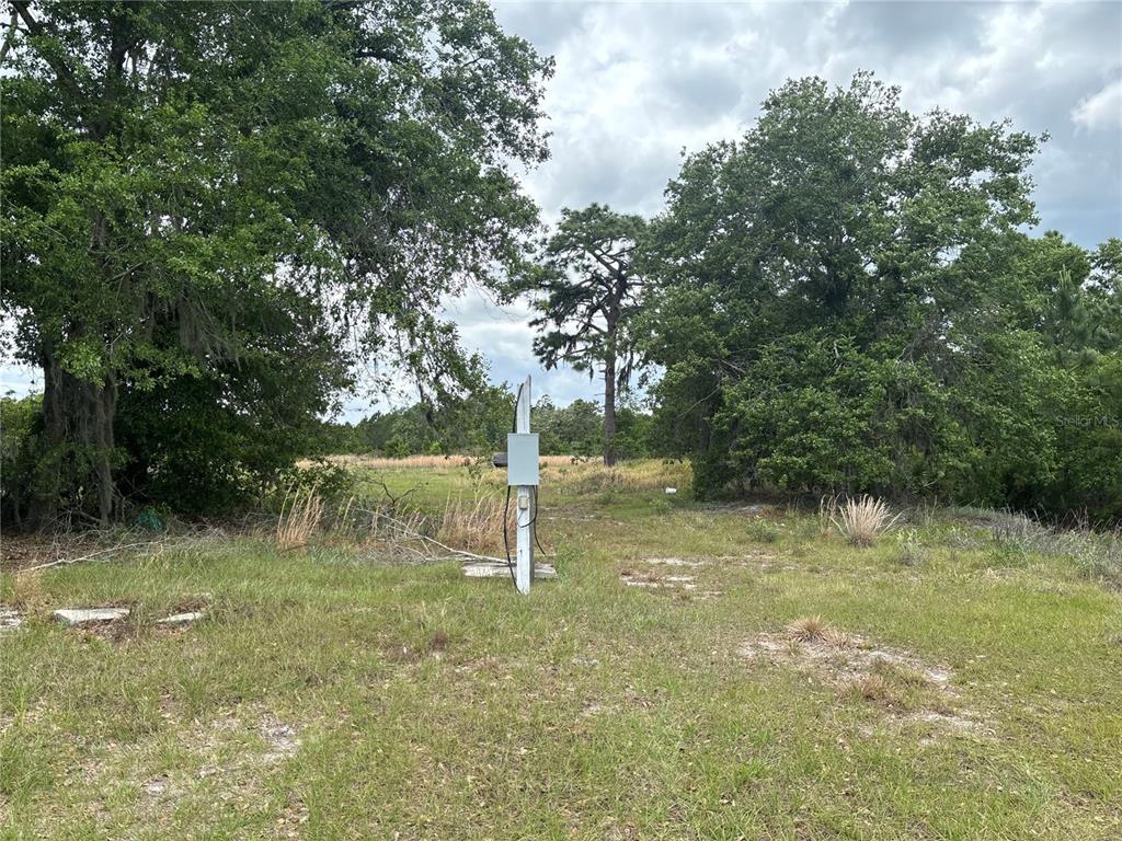 1700 West Frostproof Road Frostproof, FL 33843 - Photo 3 of 11 a view of a tree in a yard