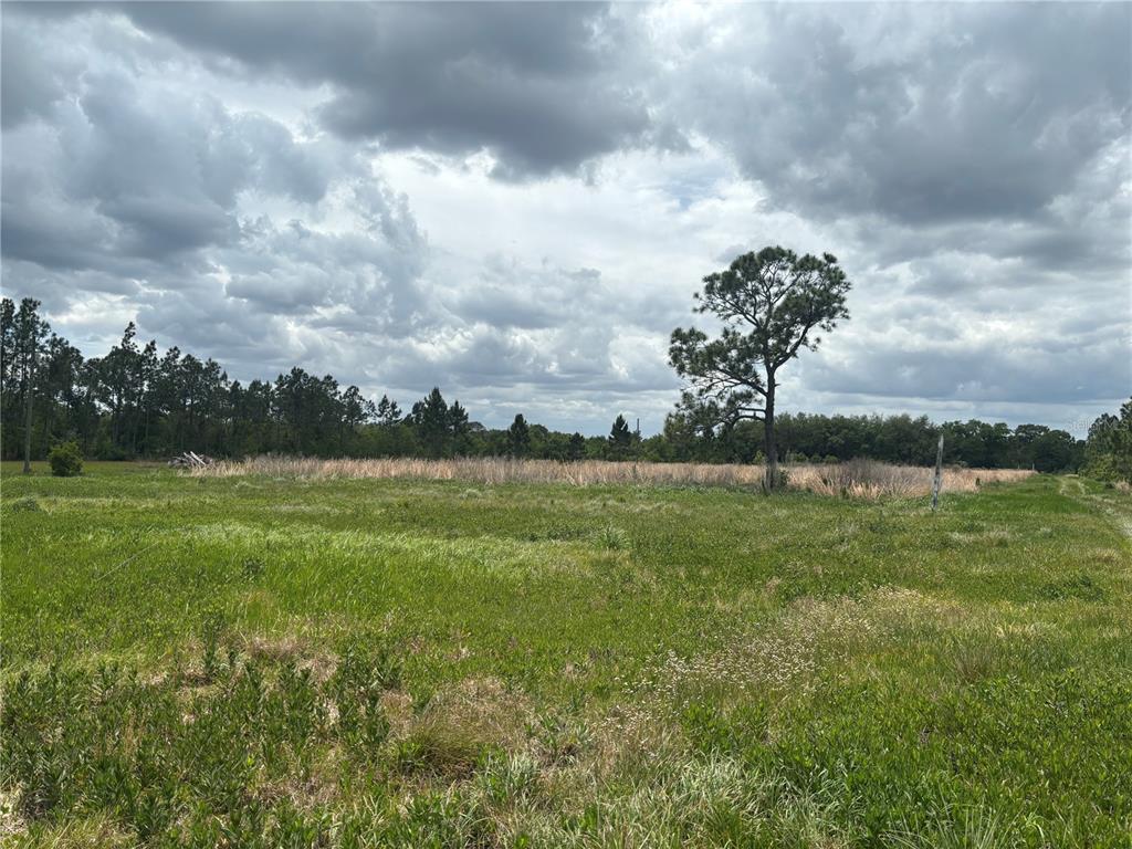 1700 West Frostproof Road Frostproof, FL 33843 - Photo 9 of 11 a view of a green field