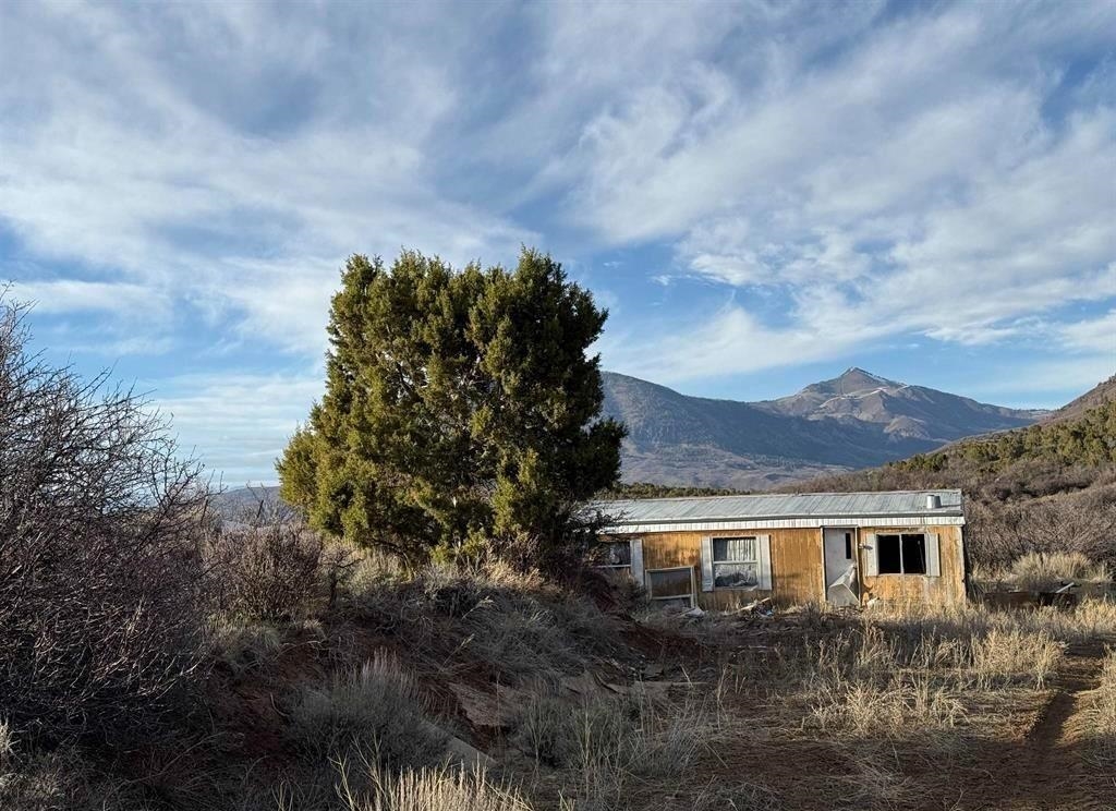 43867 Long Gulch Road Crawford, CO 81415 - Photo 41 of 42 Gallery Image 41
