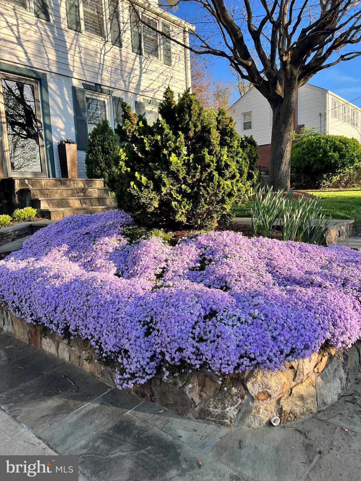 960 Patrick Henry Drive Arlington, VA 22205 - Photo 48 of 49