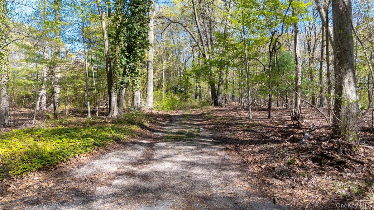 7 Spring Hill Road St. James, NY 11780 - Photo 2 of 8