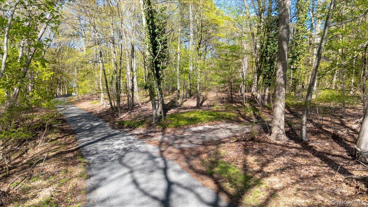 7 Spring Hill Road St. James, NY 11780 - Photo 3 of 8