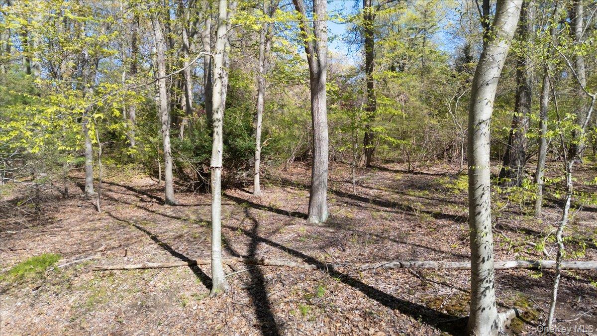 7 Spring Hill Road St. James, NY 11780 - Photo 4 of 8