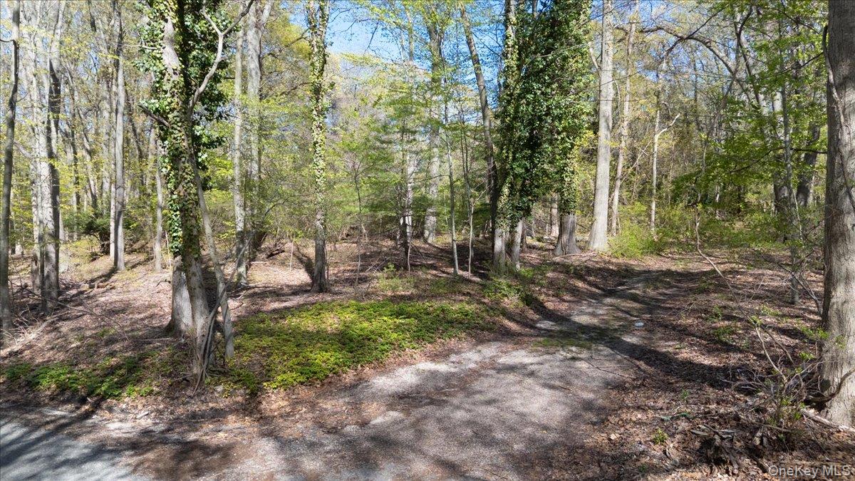 7 Spring Hill Road St. James, NY 11780 - Photo 5 of 8