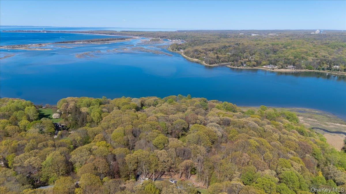 7 Spring Hill Road St. James, NY 11780 - Photo 6 of 8