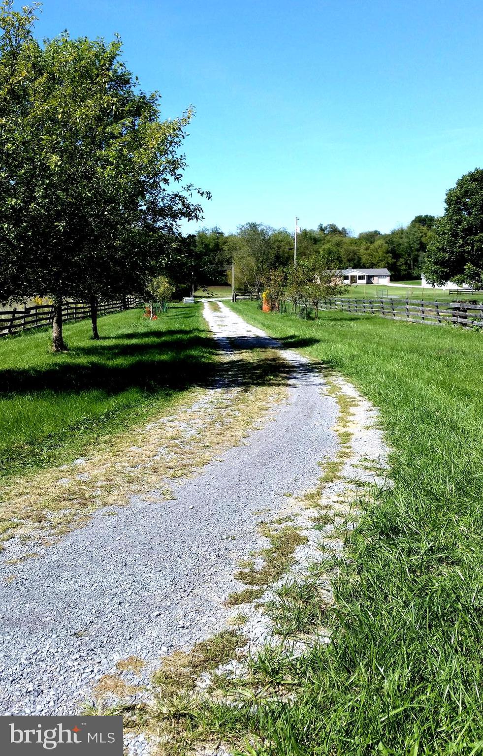 407 Stony Lane Ranson, WV 25438 - Photo 51 of 52 VIEW HEADING DOWN THE DRIVEWAY AWAY FROM THE HOME