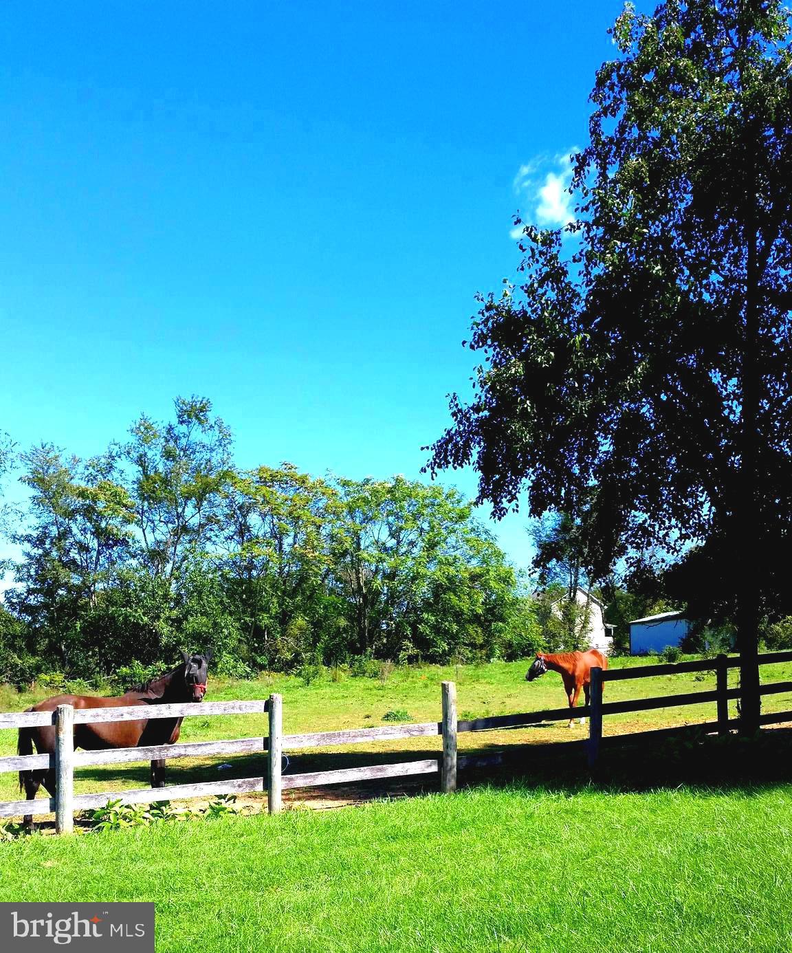 407 Stony Lane Ranson, WV 25438 - Photo 6 of 52 PADDOCK #1 HAS A 2 STALL RUN-IN-SHED & TACK SHED