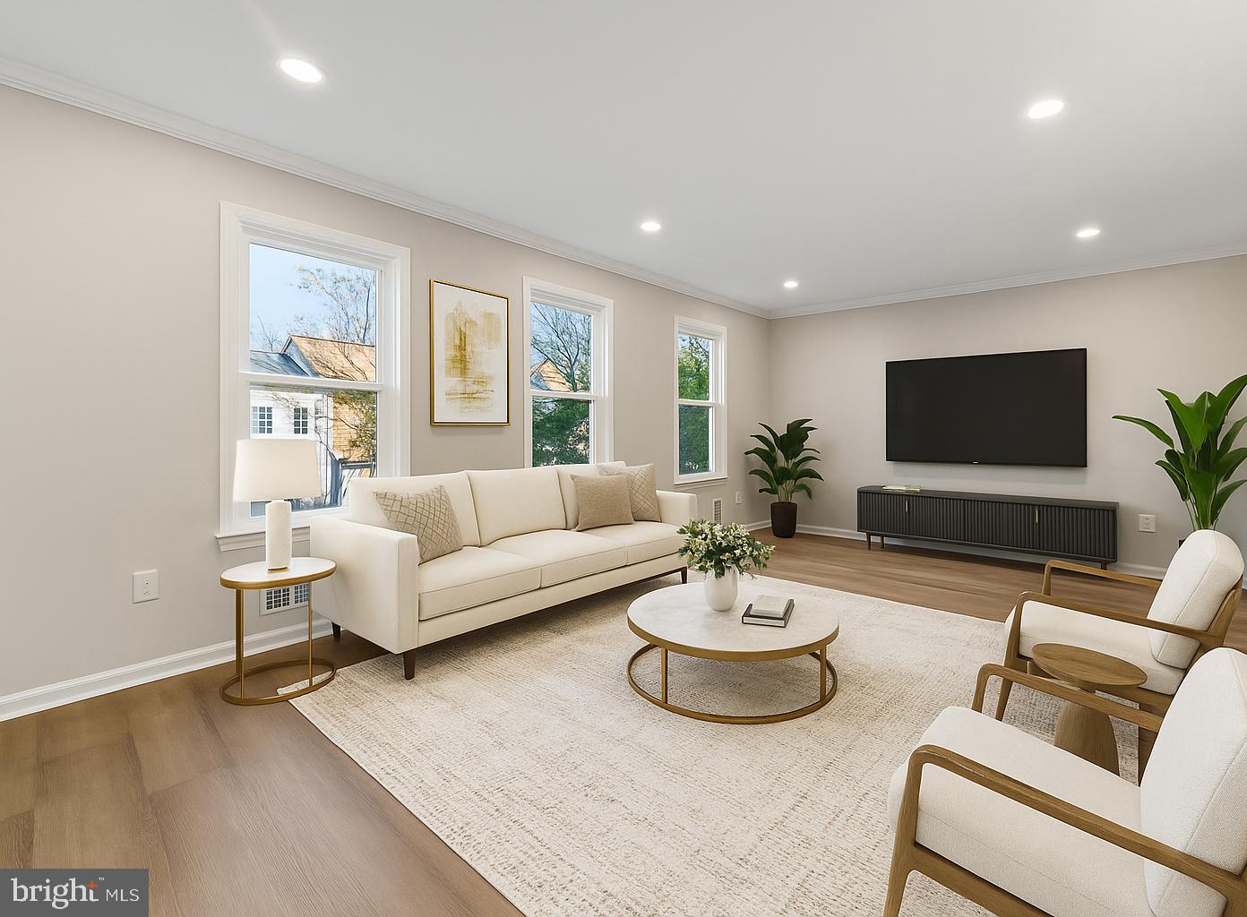 a living room with furniture potted plant and a flat screen tv