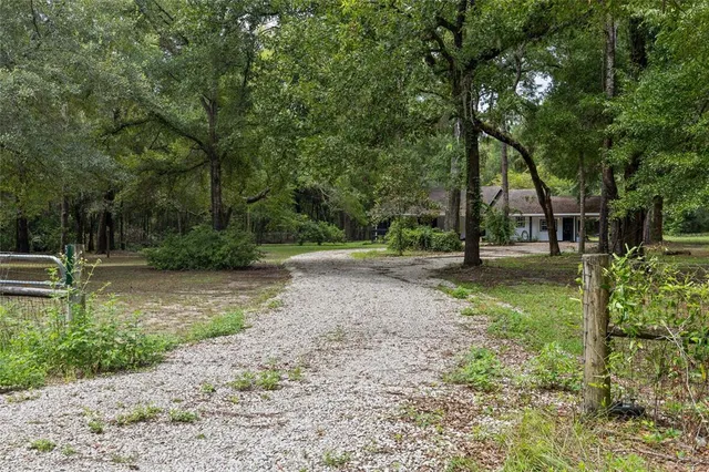 a view of backyard with green space