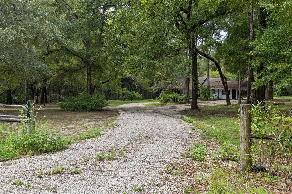 5309 Northeast 60th Avenue High Springs, FL 32643 - Photo 2 of 34 a view of backyard with green space