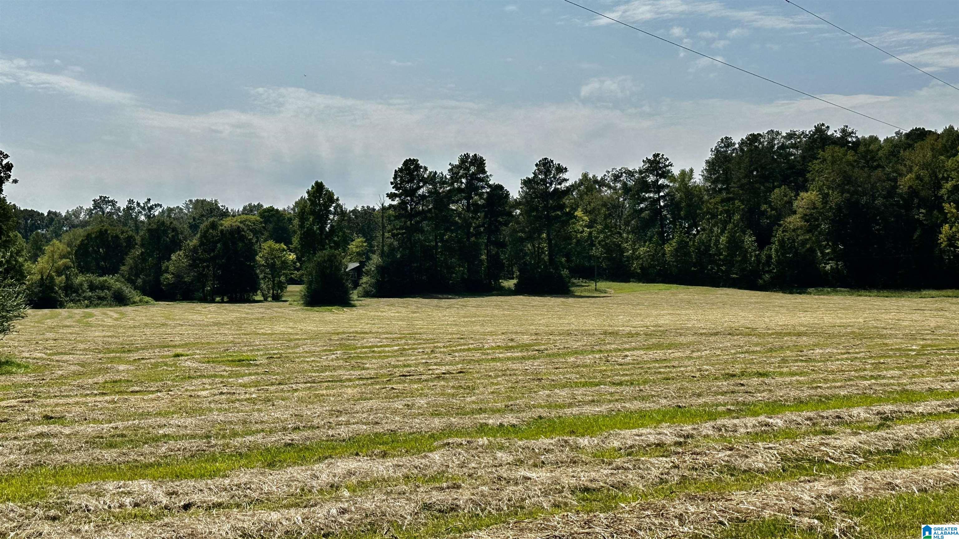0 Rock School Road Harpersville, AL 35078 - Photo 11 of 15