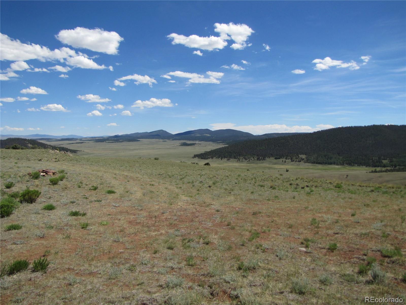 26 Boxcar Loop Fairplay, CO 80440 - Photo 22 of 33