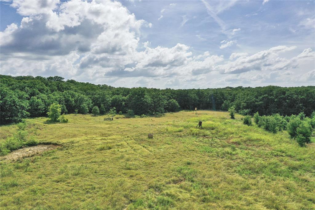 157-acres Nash Road Jacksboro, TX 76458 - Photo 13 of 40 Gallery Image 13