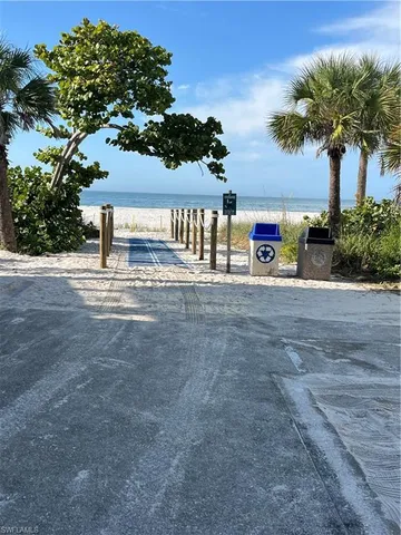a view of a street with a tree in front of it