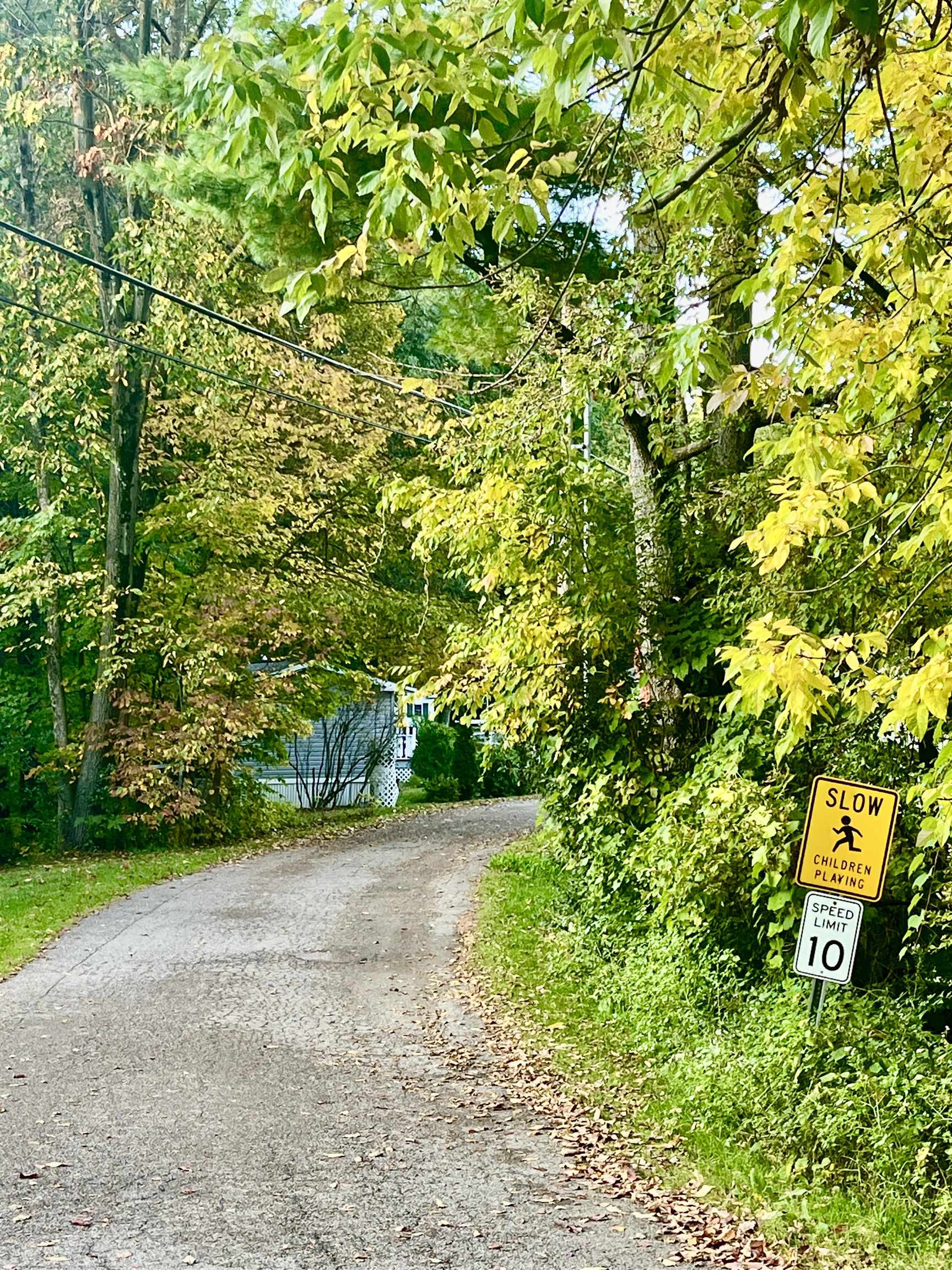 42 French Hill Manor Williston, VT 05495 - Photo 19 of 23