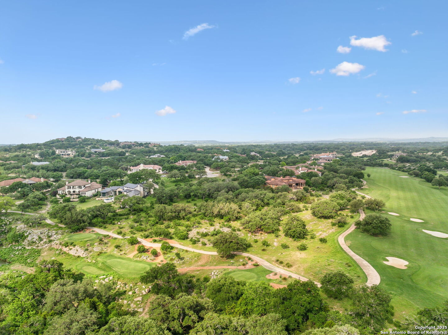 an aerial view of residential houses with outdoor space and trees