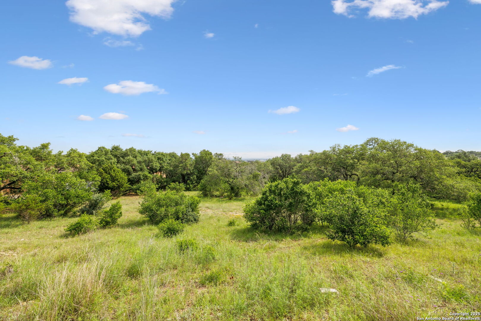 257 Augusta Boerne, TX 78006 - Photo 11 of 22 a view of a bunch of trees in a field