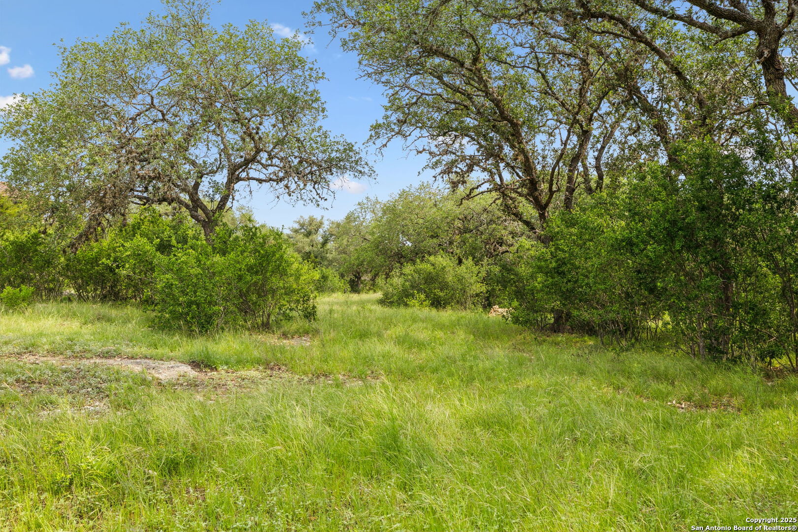 257 Augusta Boerne, TX 78006 - Photo 12 of 22 a view of a garden