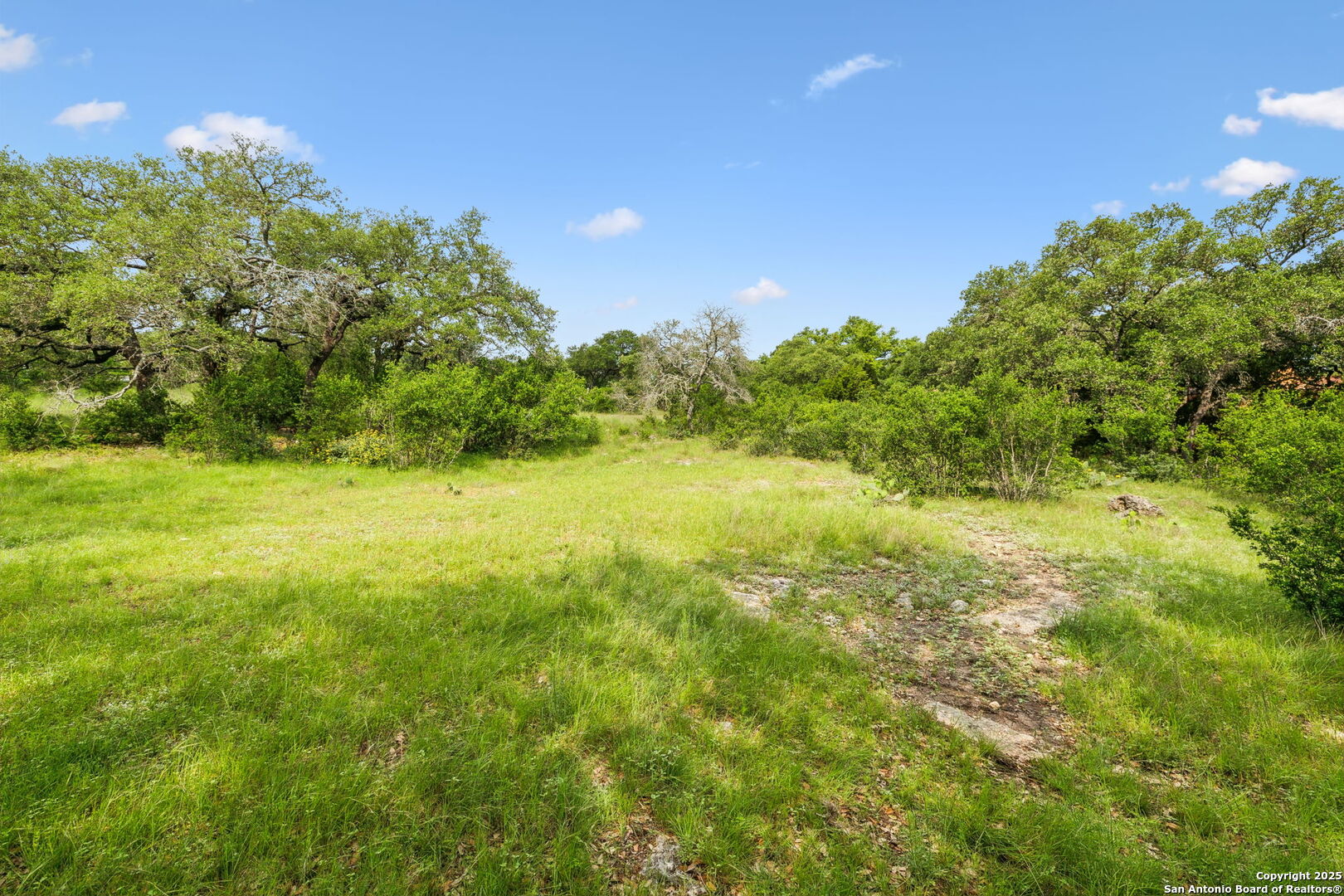 257 Augusta Boerne, TX 78006 - Photo 14 of 22 a view of yard with green space