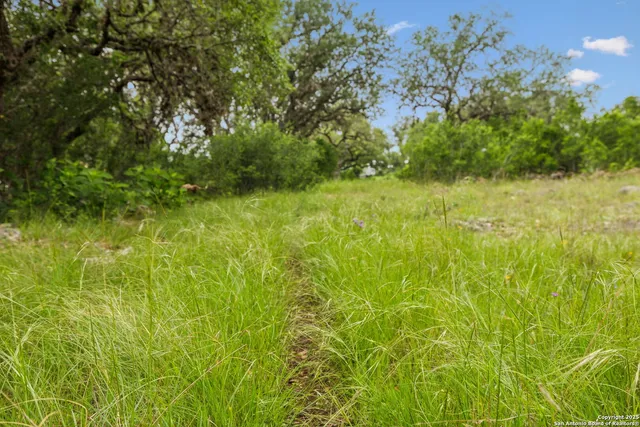 a view of a back yard