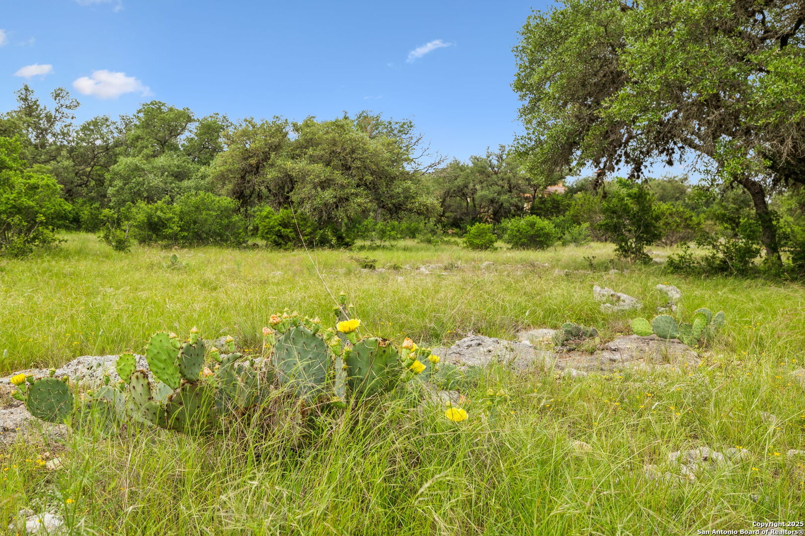 257 Augusta Boerne, TX 78006 - Photo 18 of 22 a view of yard with green space