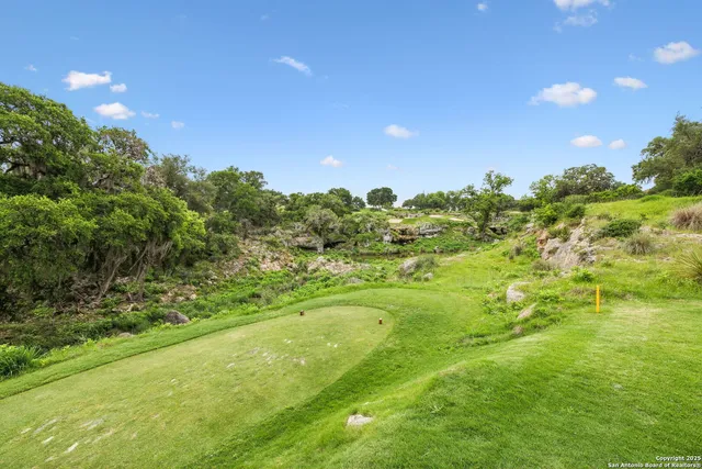 a view of a city with lush green forest