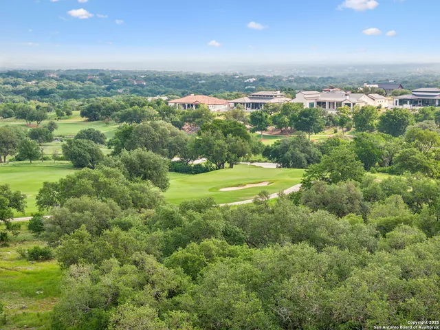 a view of a lush green space