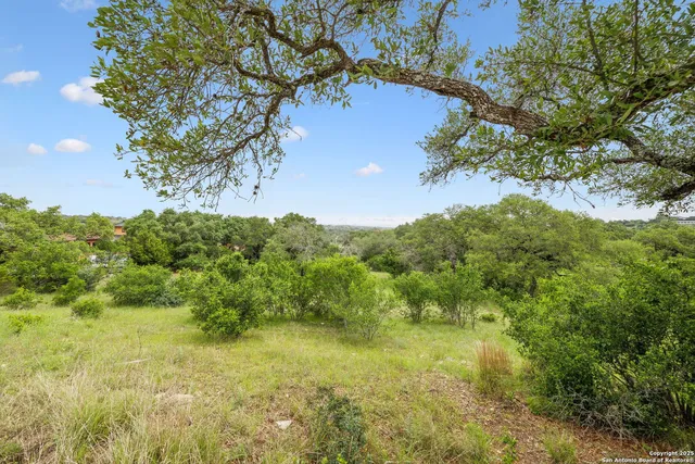 a view of a bunch of trees in a field
