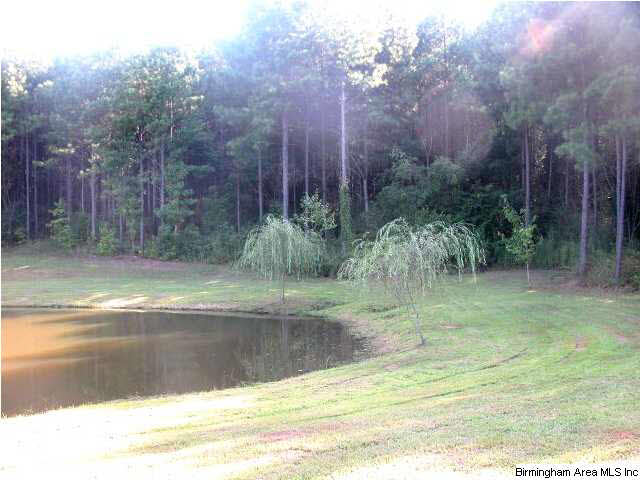 0 Lees Bridge Road, Unit 27 ACRES Delta, AL 36258 - Photo 4 of 8