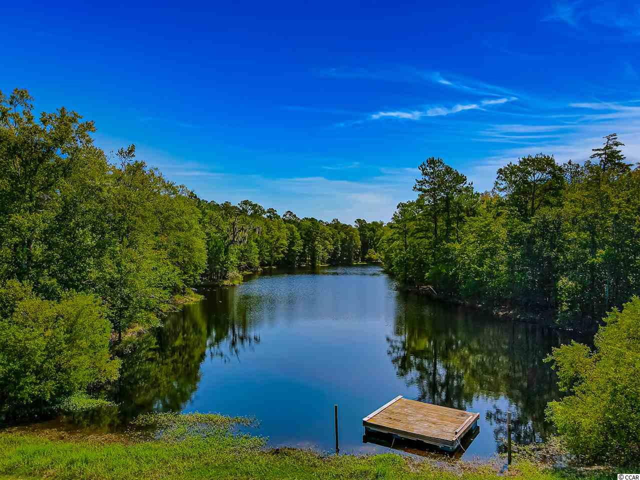 820 Rowe Pond Road Conway, SC 29526 - Photo 16 of 20 Gallery Image 16