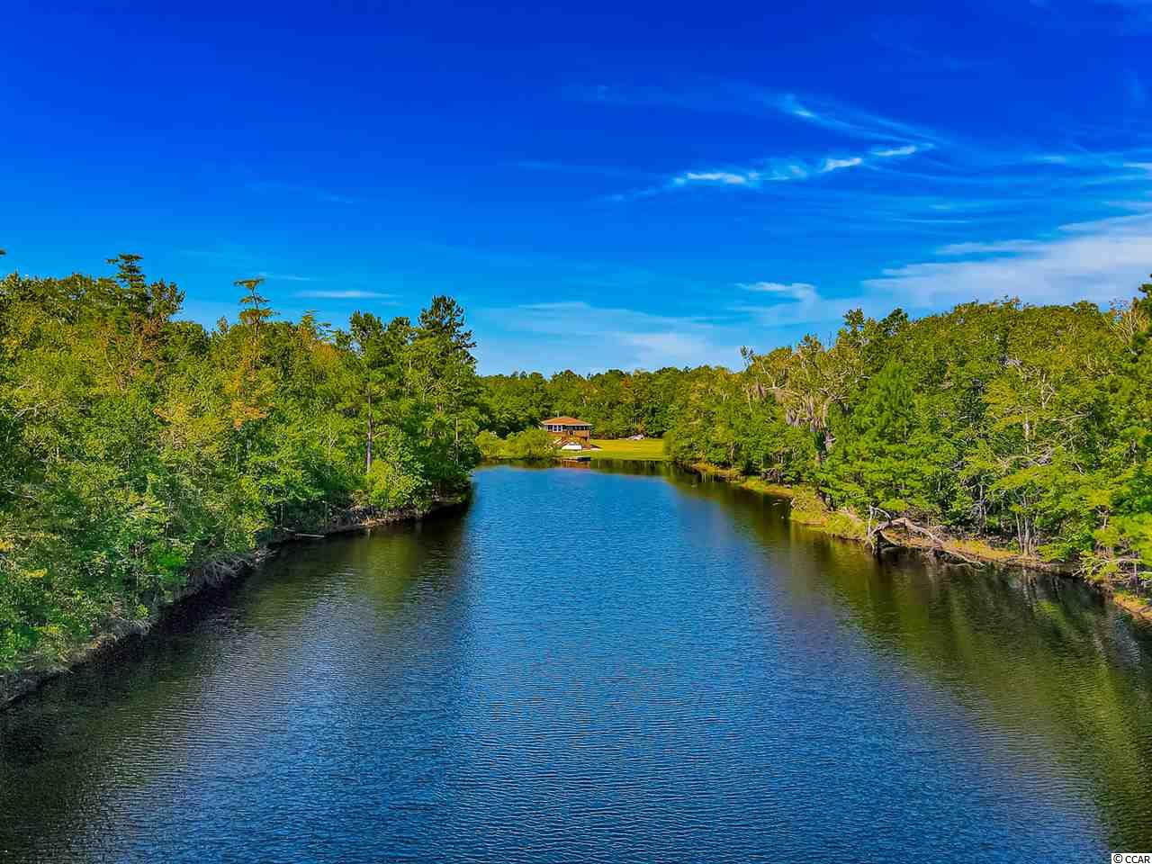 820 Rowe Pond Road Conway, SC 29526 - Photo 18 of 20 Gallery Image 18