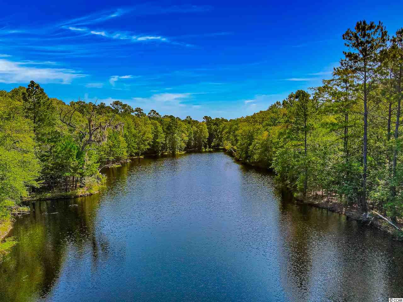 820 Rowe Pond Road Conway, SC 29526 - Photo 19 of 20 Gallery Image 19