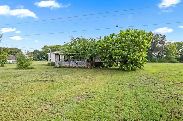 a view of a yard with an tree