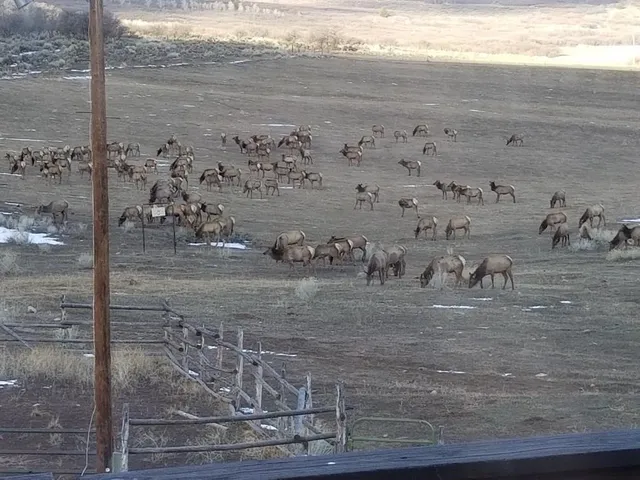 a view of a balcony with chairs