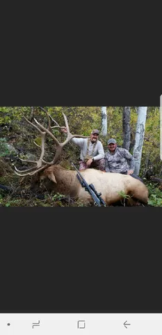 a view of a yard with an outdoor space