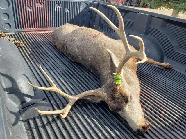 a view of a city with an ocean beach