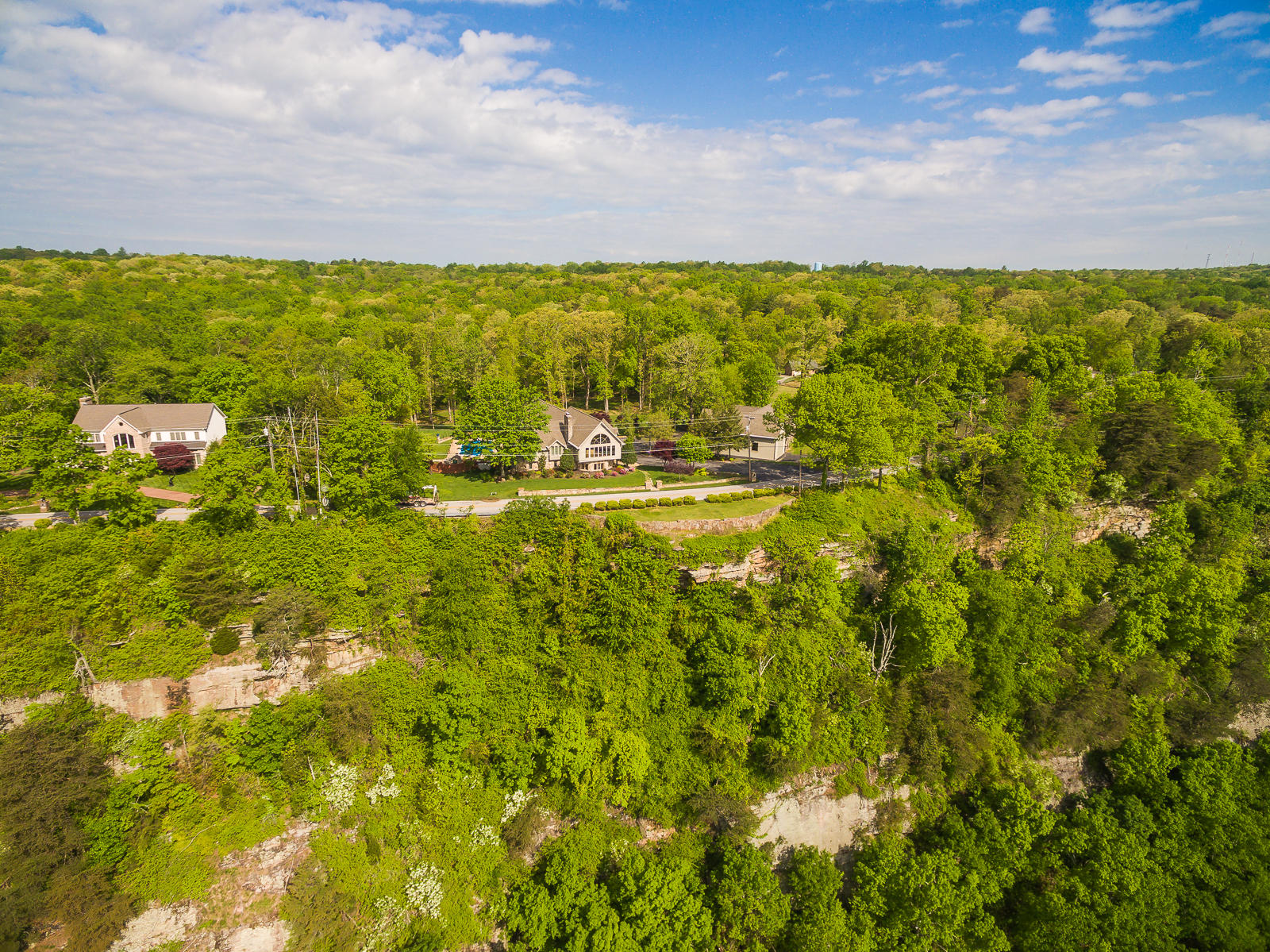 1423 East Brow Road Signal Mountain, TN 37377 - Photo 75 of 81 1425_EastBrowRd_Aerial-12