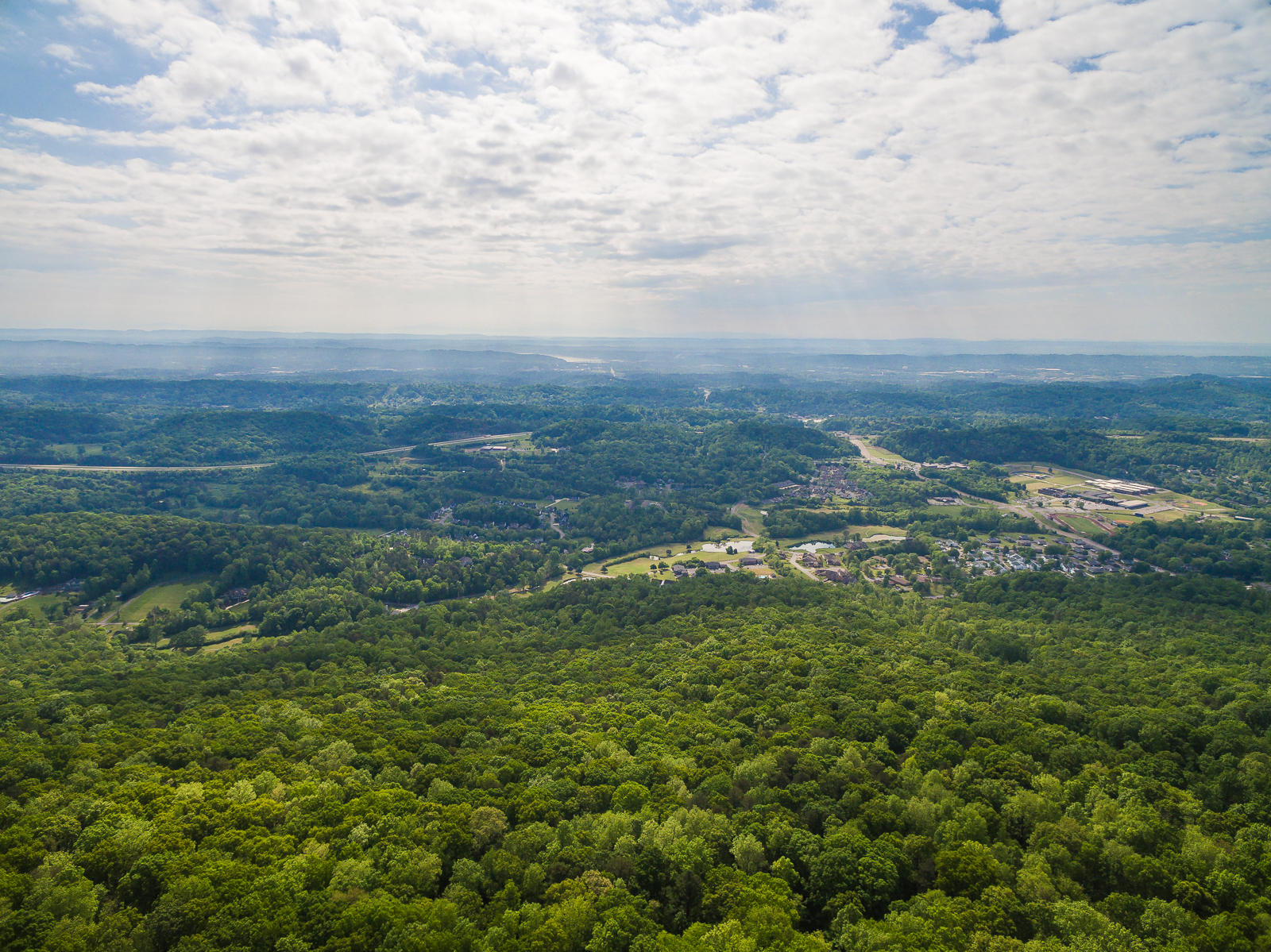 1423 East Brow Road Signal Mountain, TN 37377 - Photo 77 of 81 1425_EastBrowRd_Aerial-14