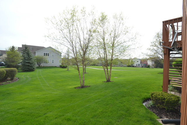 269 Grand Ridge Road, Unit 269 St. Charles, IL 60175 - Photo 24 of 25 a view of a house with a backyard