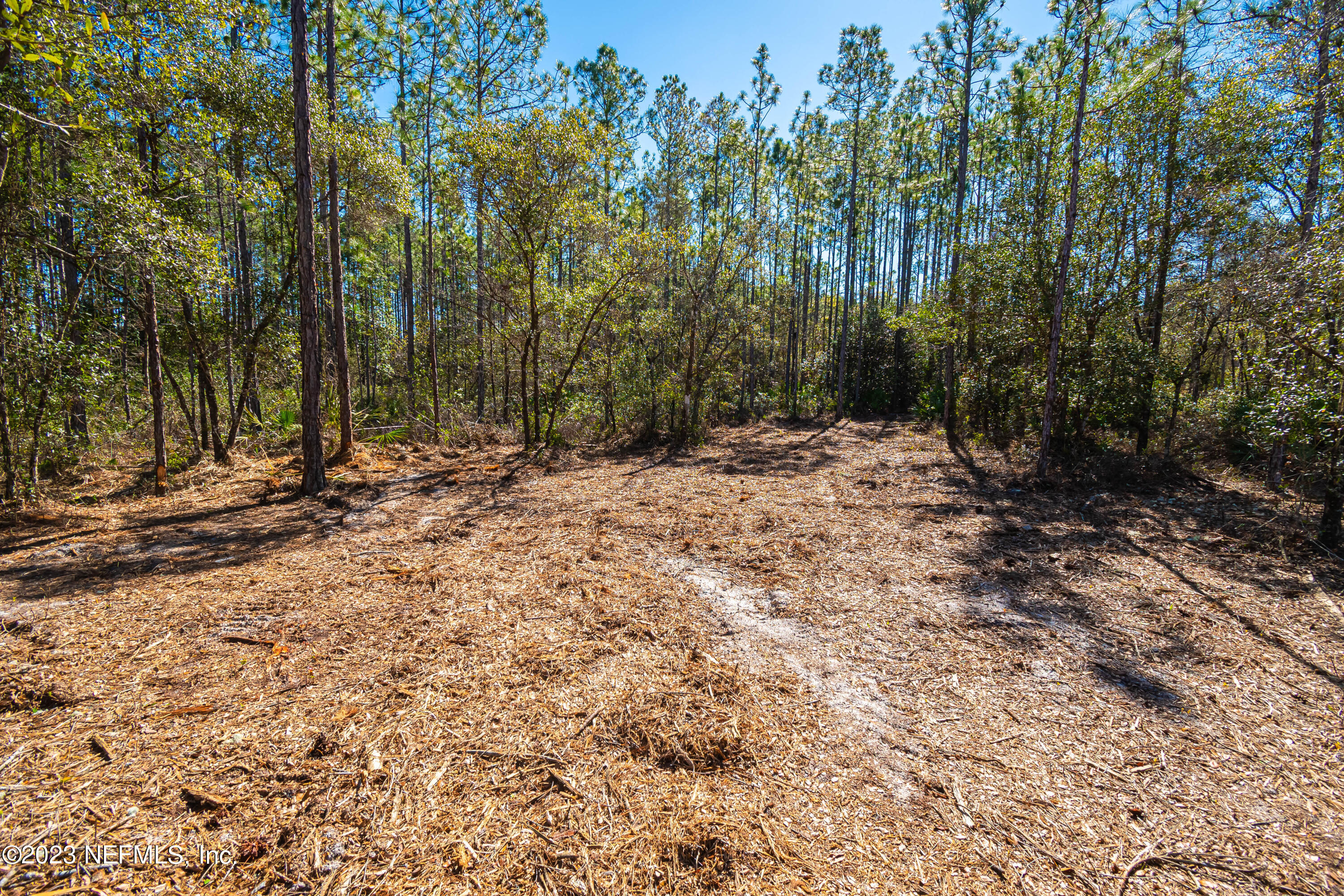 Lot 2 Steel Bridge Road Macclenny, FL 32063 - Photo 4 of 10 untitled-3318