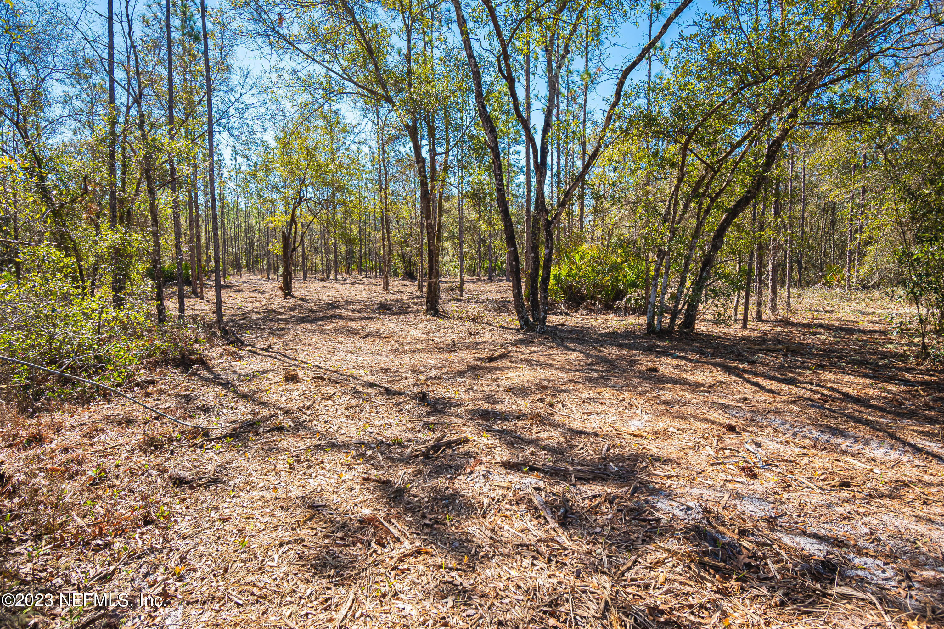 Lot 2 Steel Bridge Road Macclenny, FL 32063 - Photo 5 of 10 untitled-3325