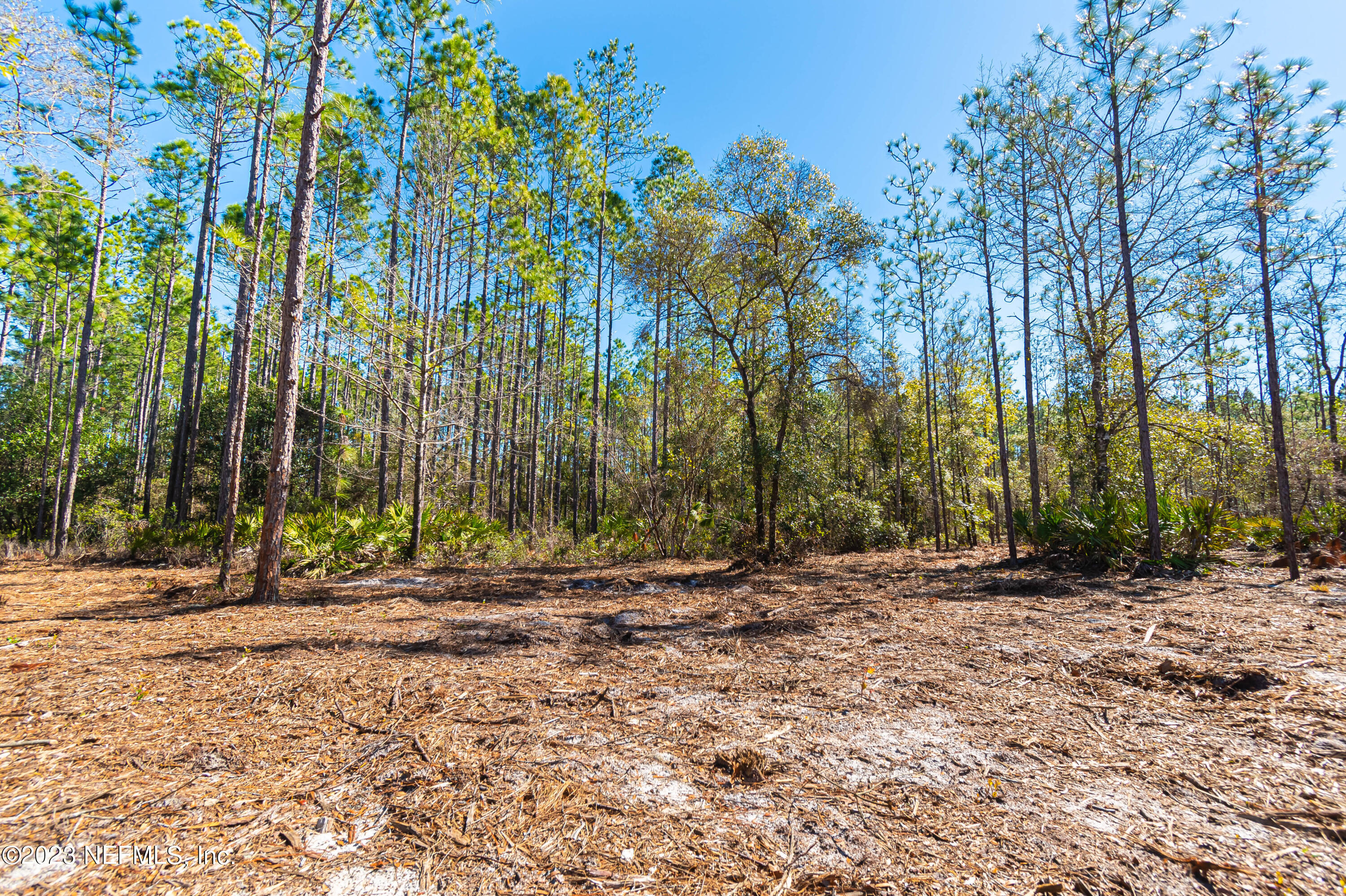 Lot 2 Steel Bridge Road Macclenny, FL 32063 - Photo 6 of 10 untitled-3337